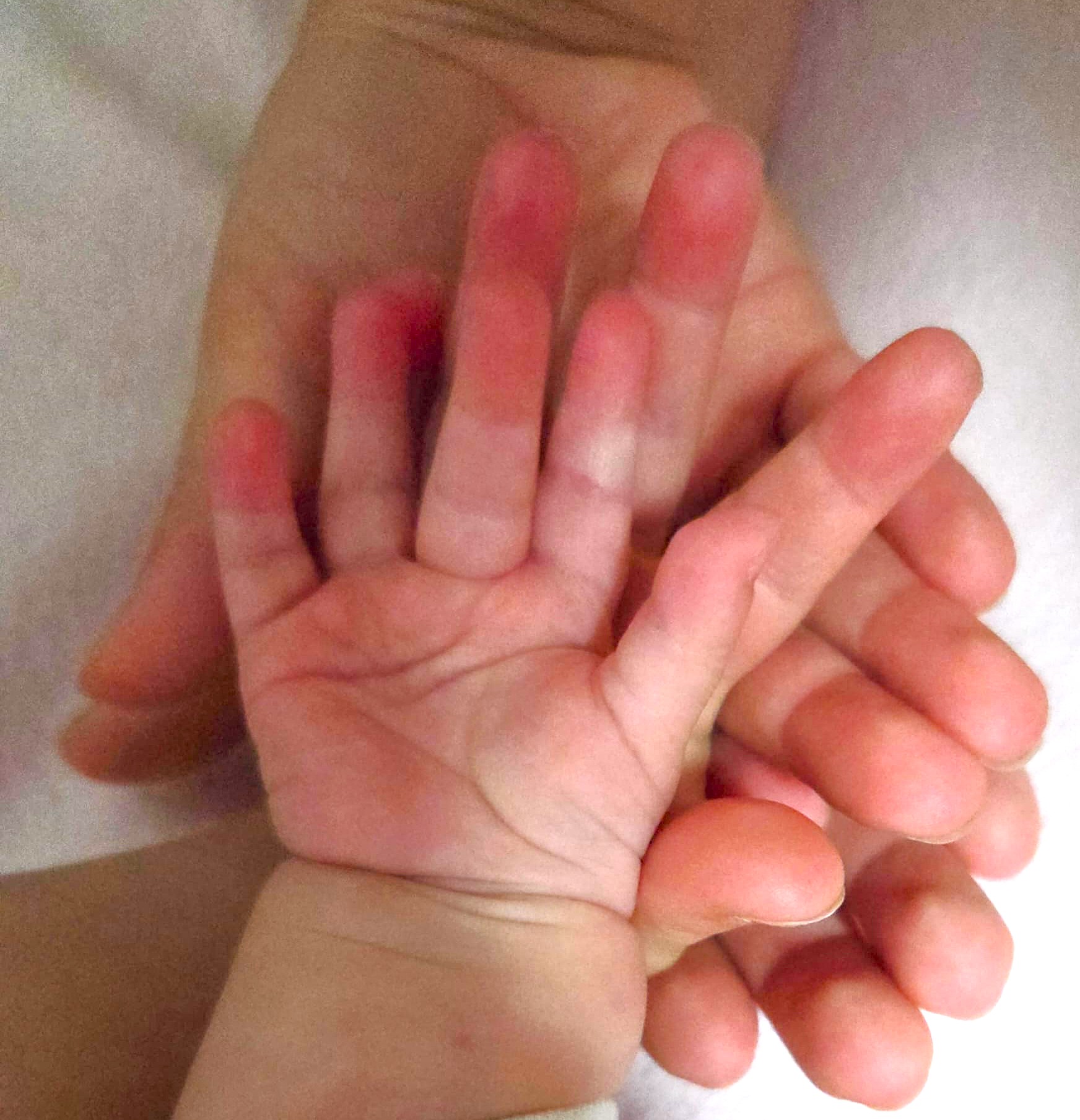 Erziehungspartnerschaft